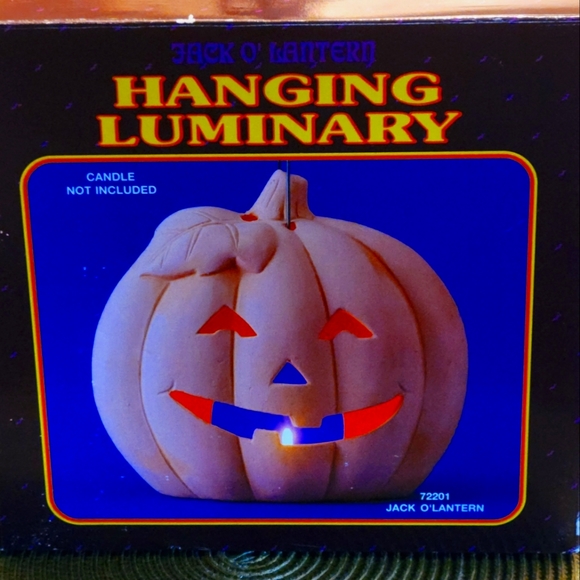 Magic Pumpkin - Picture 6 of 6